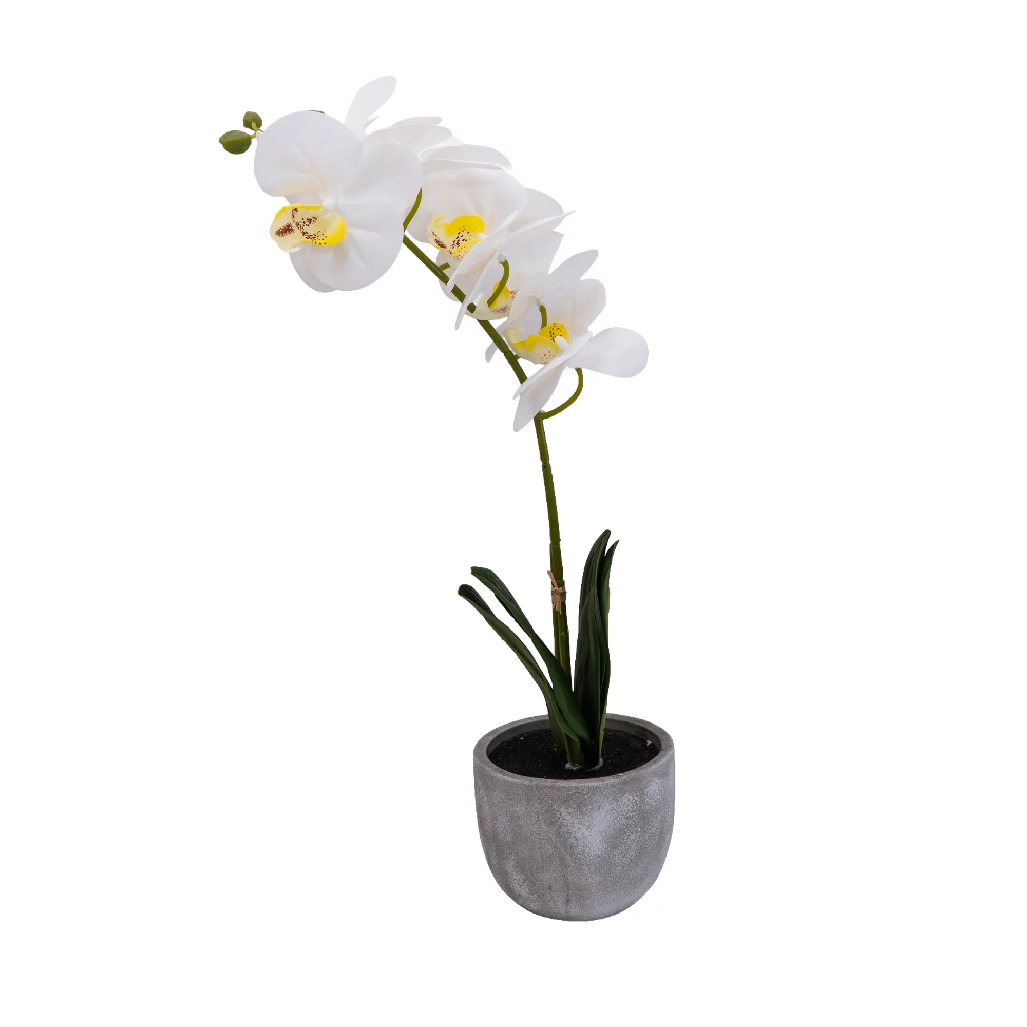 25cm White Orchid Artificial Plant In Grey Ceramic Pot 1 25cm White Orchid Artificial Plant In Grey Ceramic Pot