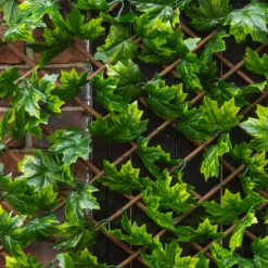 Apollo Maple Leaf Willow Trellis Panel (W)200cm X (H)100cm 5 Apollo Maple Leaf Willow Trellis Panel (W)200cm X (H)100cm -Hozelock Shop apollo maple leaf willow trellis panel w 200cm x h 100cm5037653779309 02i bq