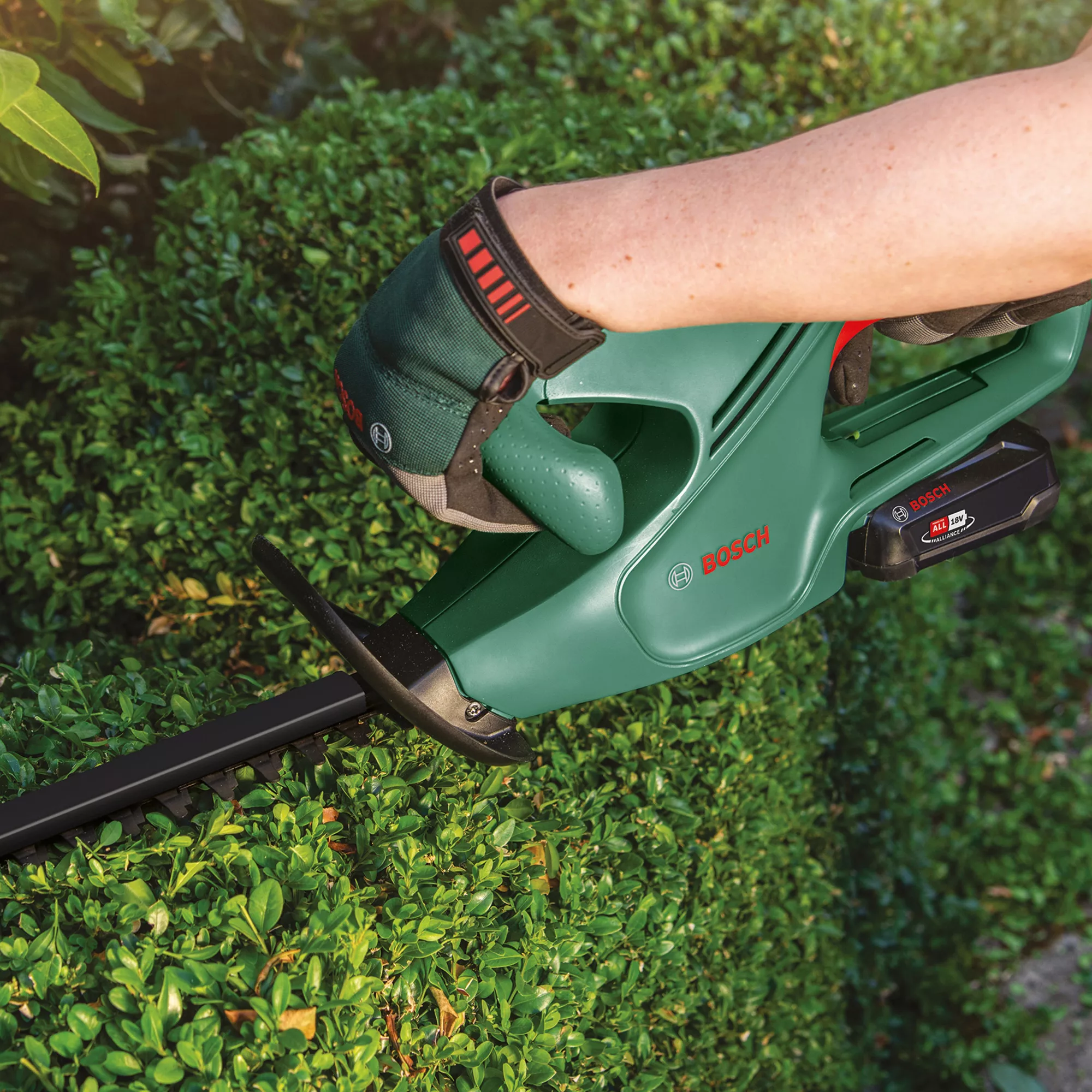Bosch Power For All 18V 450mm EasyHedgeCut 18-45 Cordless Hedge Trimmer 3 Bosch Power For All 18V 450mm EasyHedgeCut 18-45 Cordless Hedge Trimmer - Image 3
