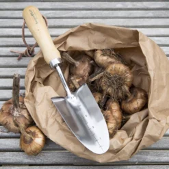 Burgon & Ball RHS Transplanter -Hozelock Shop burgon ball rhs transplanter5019360008415 01i bq