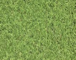 Dennis Artificial Grass 8m² (T)22mm -Hozelock Shop dennis artificial grass 8m t 22mm3663602425175 36c