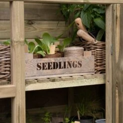 Forest Garden Georgian Wall Greenhouse With Auto Vent 16 Forest Garden Georgian Wall Greenhouse With Auto Vent -Hozelock Shop forest garden georgian wall greenhouse with auto vent5013053185087 38c bq