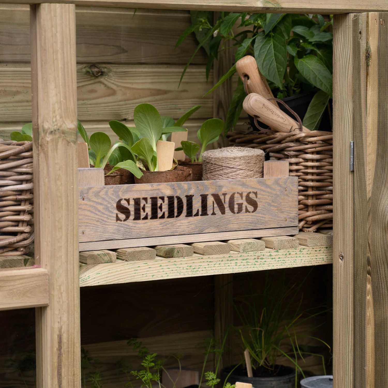 Forest Garden Georgian Wall Greenhouse With Auto Vent 4 Forest Garden Georgian Wall Greenhouse With Auto Vent - Image 4