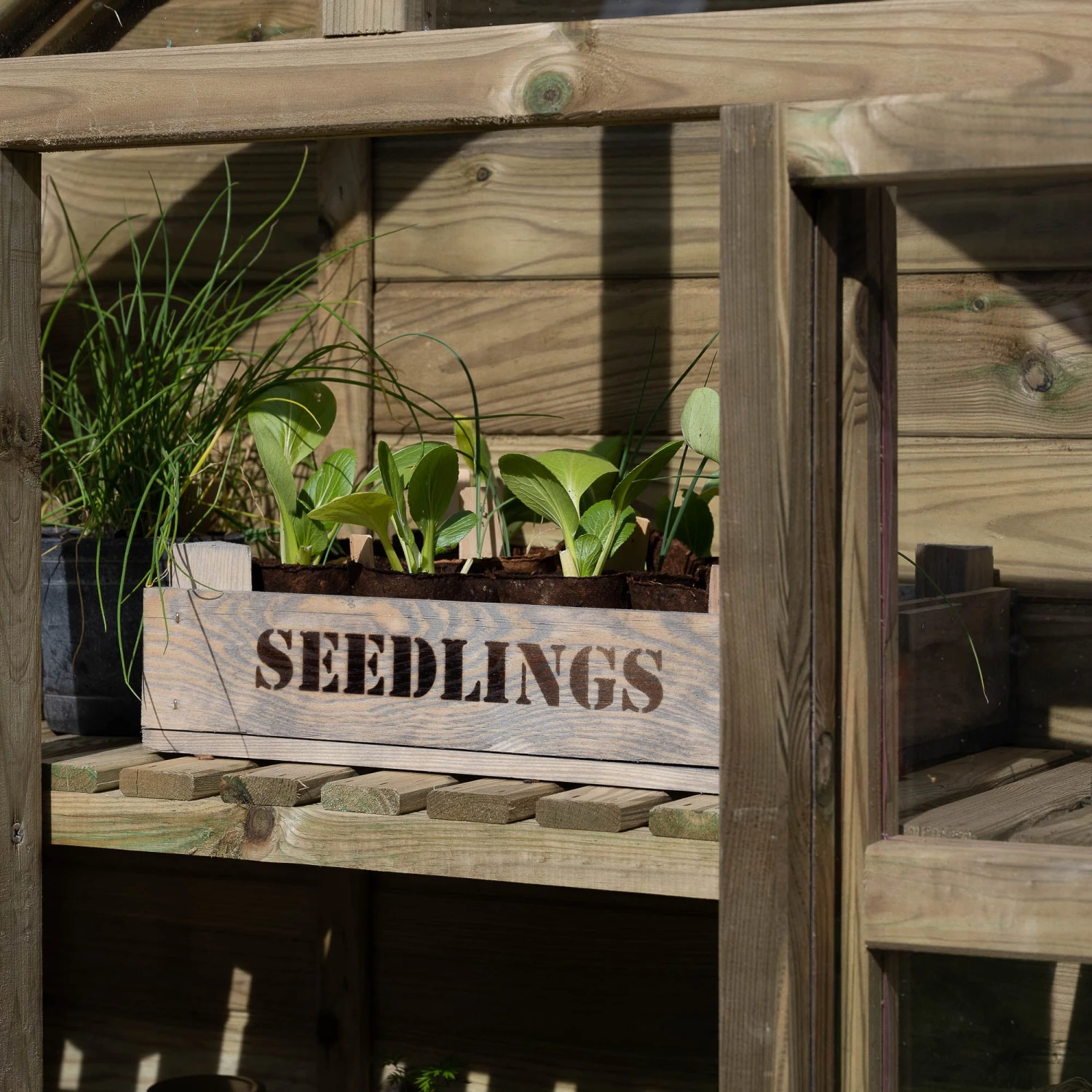 Forest Garden Georgian Wall Greenhouse With Auto Vent 6 Forest Garden Georgian Wall Greenhouse With Auto Vent - Image 6