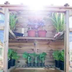 Forest Garden Natural Timber 5x2 Greenhouse -Hozelock Shop forest garden natural timber 5x2 greenhouse5013053176375 05i