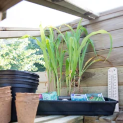 Forest Garden Natural Timber 5x2 Greenhouse -Hozelock Shop forest garden natural timber 5x2 greenhouse5013053176375 06i