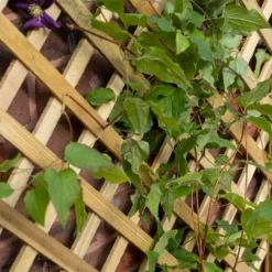 Forest Garden Trellis Natural Timber Rectangular Planter (H) 137cm X (W) 80cm 6 Forest Garden Trellis Natural Timber Rectangular Planter (H) 137cm X (W) 80cm -Hozelock Shop forest garden trellis natural timber rectangular planter h 137cm x w 80cm5013053190616 02i