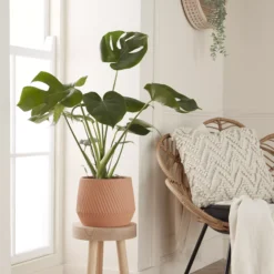 GoodHome Lummi Beige Terracotta Slanting Stripes Circular Plant Pot (Dia)23.5cm 5 GoodHome Lummi Beige Terracotta Slanting Stripes Circular Plant Pot (Dia)23.5cm -Hozelock Shop goodhome lummi beige terracotta slanting stripes circular plant pot dia 23 5cm5059340327914 01i