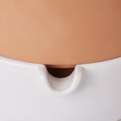 GoodHome Terracotta & White Terracotta Circular Plant Pot (Dia)22.8cm -Hozelock Shop goodhome terracotta white terracotta circular plant pot dia 22 8cm3663602441328 36c bq