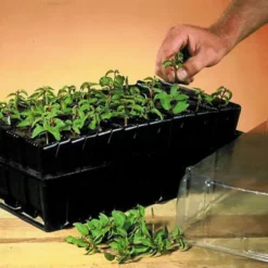 Haxnicks Deep Rootrainer 37cm 5 Haxnicks Deep Rootrainer 37cm -Hozelock Shop haxnicks deep rootrainer 37cm0651609107012 01i