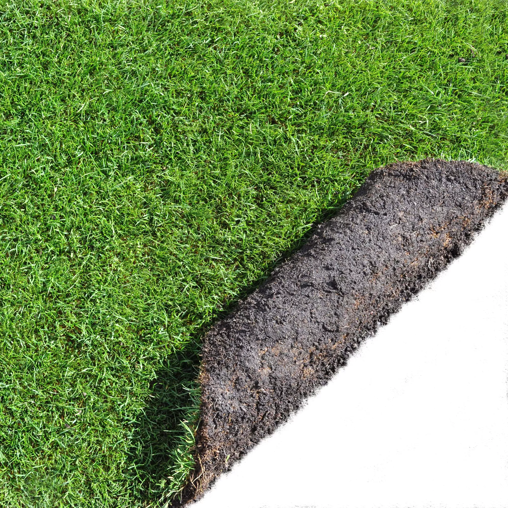 Lawn Turf, 50m² Pack 2 Lawn Turf, 50m² Pack - Image 2