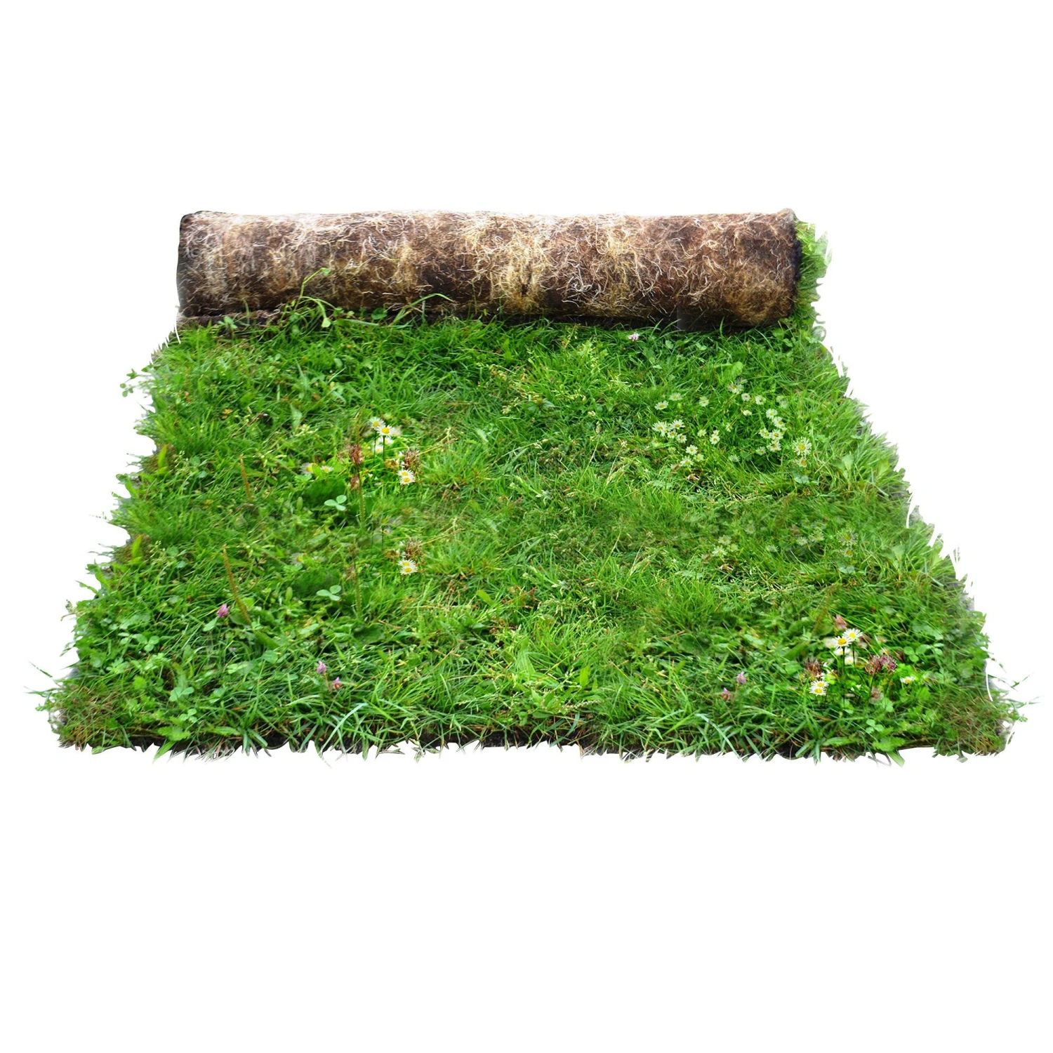 Meadowmat Wildflower Turf, 20m² Pack 1 Meadowmat Wildflower Turf, 20m² Pack
