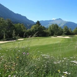 Meadowmat Wildflower Turf, 20m² Pack 12 Meadowmat Wildflower Turf, 20m² Pack -Hozelock Shop meadowmat wildflower turf 20m pack04168157 04i bq