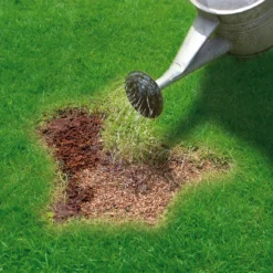 Miracle-Gro Patch Magic Lawn Patch Repairer 13m² 1L 1kg -Hozelock Shop miracle gro patch magic lawn patch repairer 13m 1l 1kg5010272090567 02i bq