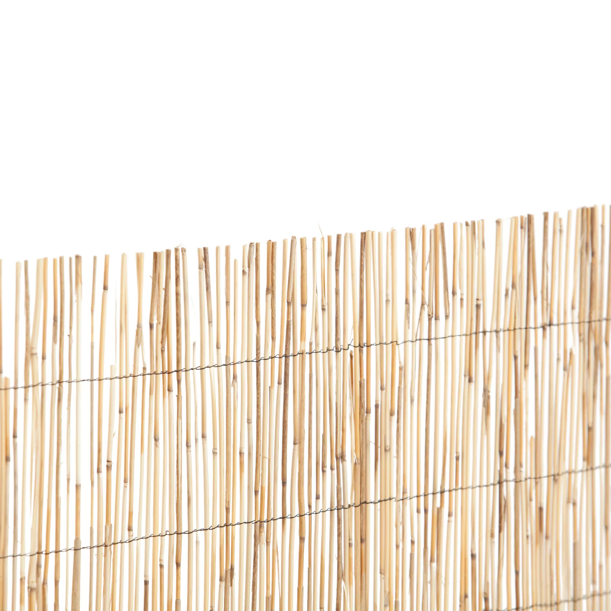 Natural Reed Garden Screen (H)1.8m (W)3m 2 Natural Reed Garden Screen (H)1.8m (W)3m - Image 2