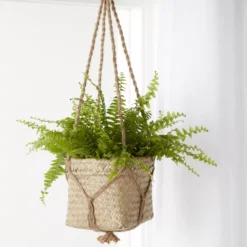 Natural Seagrass Herringbone Round Plant Pot (Dia)20.5cm 7 Natural Seagrass Herringbone Round Plant Pot (Dia)20.5cm -Hozelock Shop natural seagrass herringbone round plant pot dia 20 5cm3663602442479 06i bq