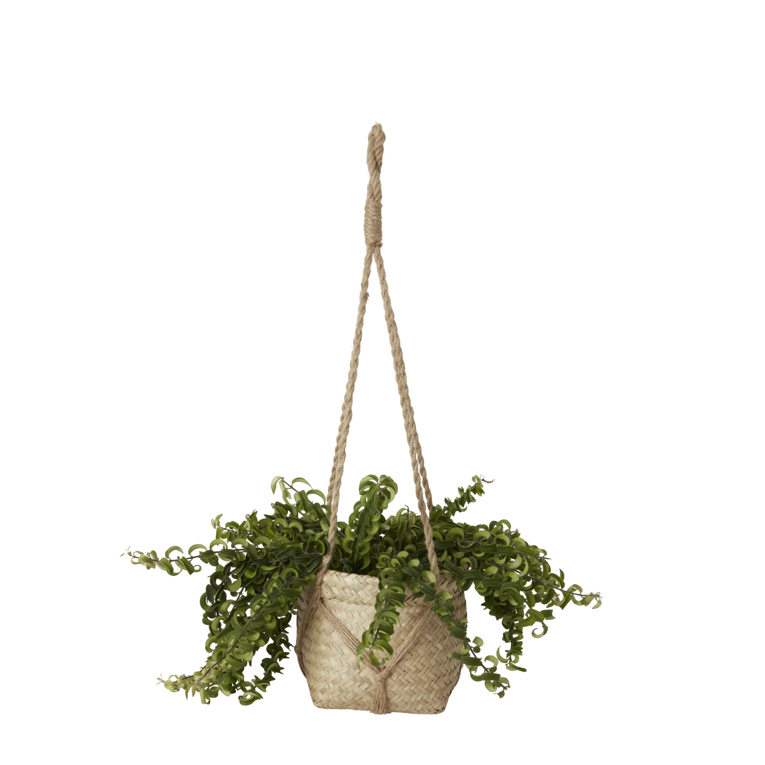 Natural Seagrass Herringbone Round Plant Pot (Dia)20.5cm 2 Natural Seagrass Herringbone Round Plant Pot (Dia)20.5cm - Image 2