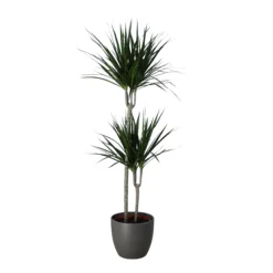 Never Plant In 24cm Assorted Ceramic Decorative Pot -Hozelock Shop never plant in 24cm assorted ceramic decorative pot5059340827834 22c