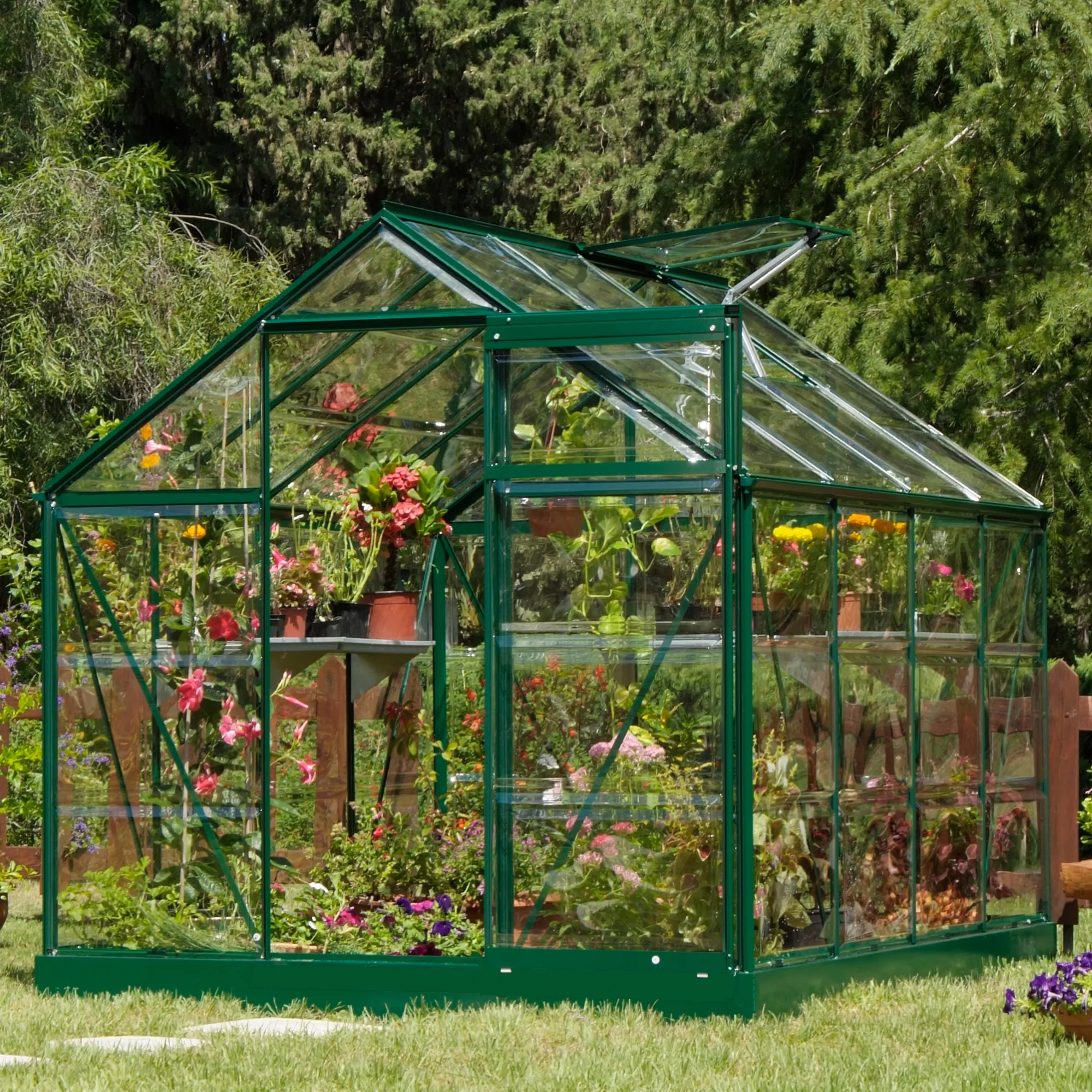 Palram - Canopia Harmony Green 6x10 Greenhouse 2 Palram - Canopia Harmony Green 6x10 Greenhouse - Image 2