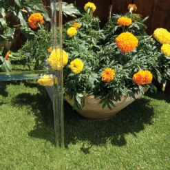 Palram - Canopia Harmony Green 6x6 Greenhouse -Hozelock Shop palram canopia harmony green 6x6 greenhouse7290103110864 06i bq