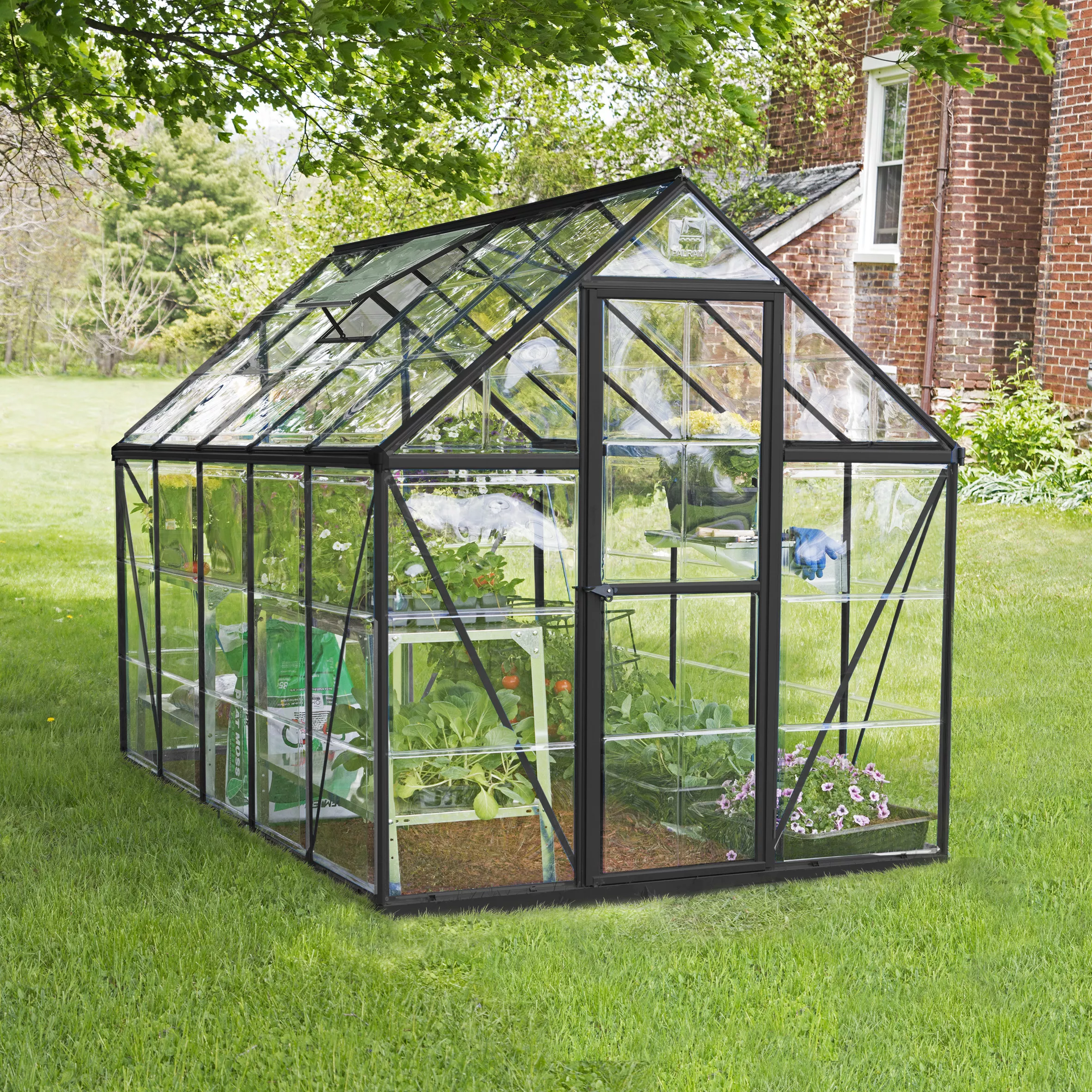 Palram - Canopia Harmony Grey 6X10 Greenhouse 1 Palram - Canopia Harmony Grey 6X10 Greenhouse