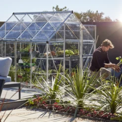 Palram - Canopia Harmony Silver 6x8 Greenhouse -Hozelock Shop palram canopia harmony silver 6x8 greenhouse7290103110581 07i