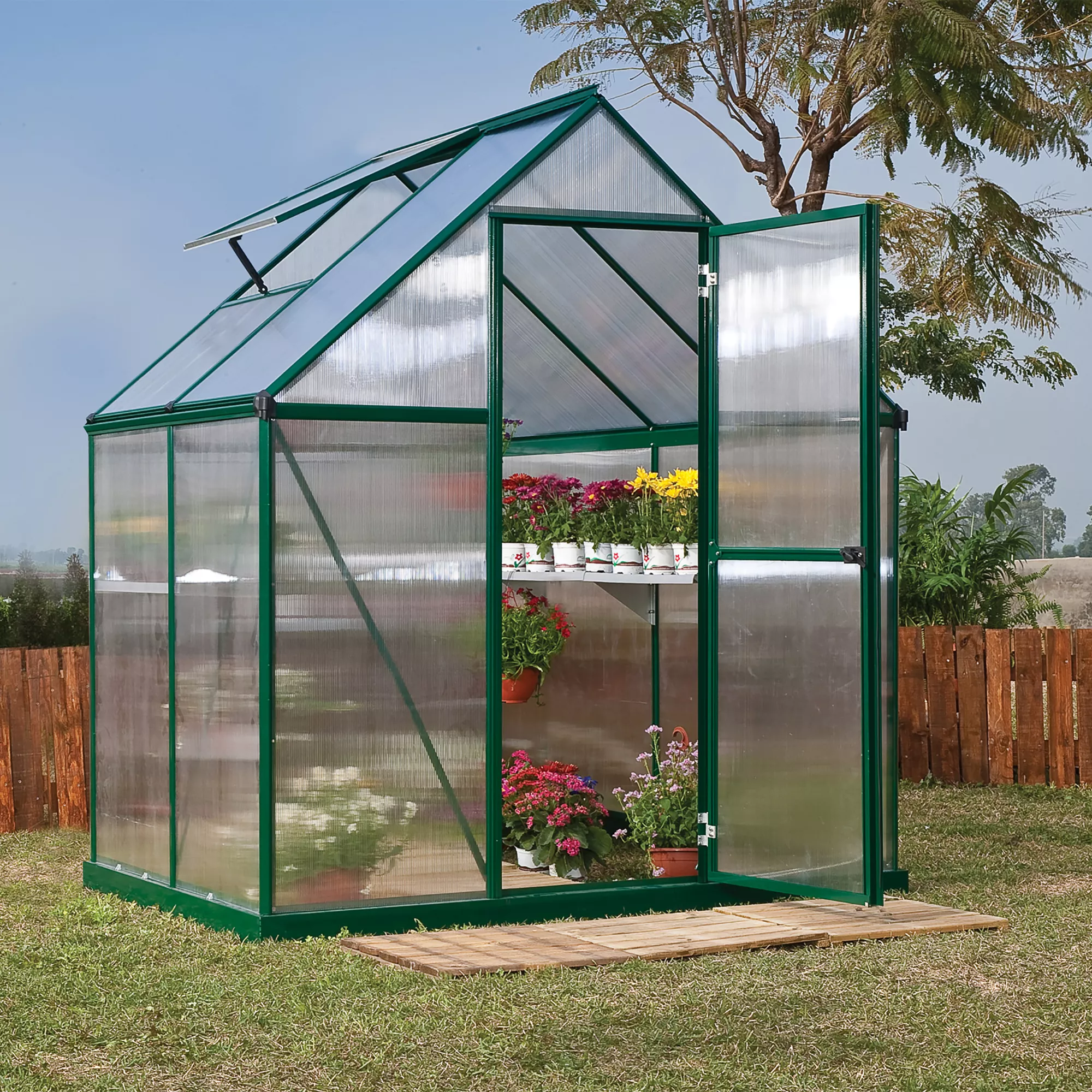 Palram - Canopia Mythos Green 6X4 Greenhouse 1 Palram - Canopia Mythos Green 6X4 Greenhouse