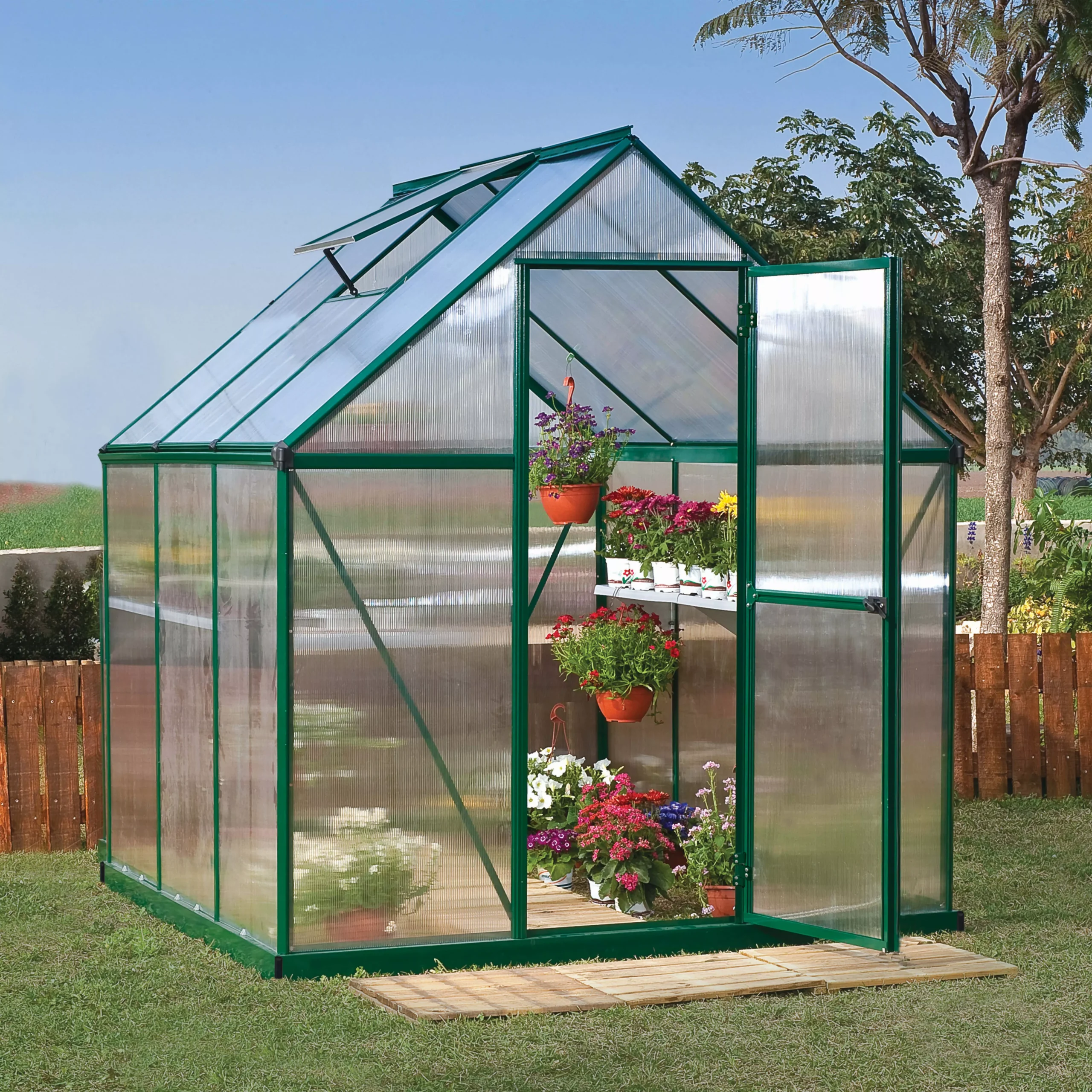 Palram - Canopia Mythos Green 6X6 Greenhouse 1 Palram - Canopia Mythos Green 6X6 Greenhouse