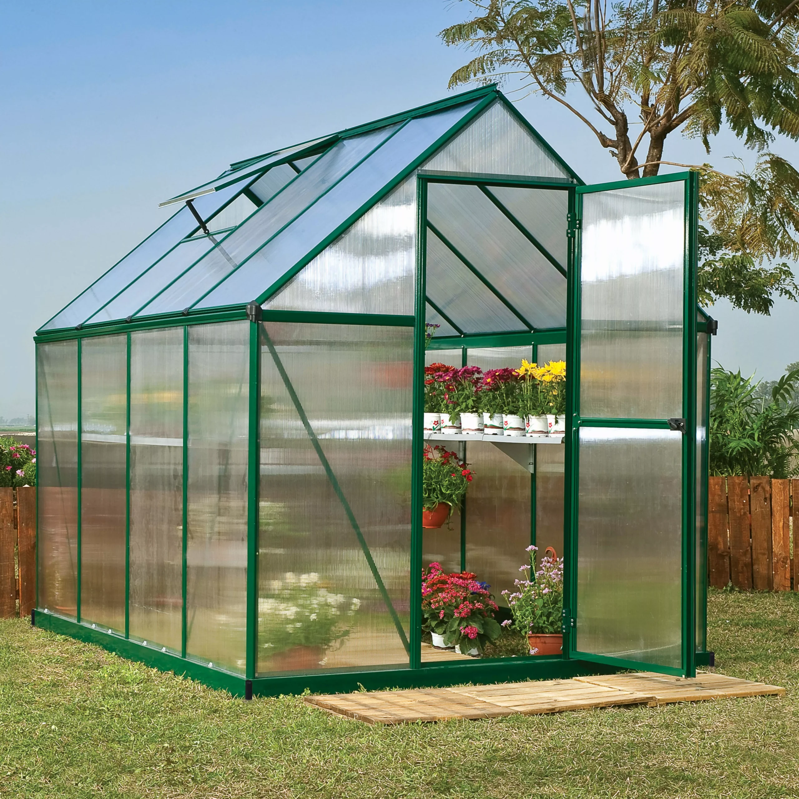 Palram - Canopia Mythos Green 6X8 Greenhouse 1 Palram - Canopia Mythos Green 6X8 Greenhouse