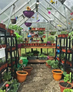 Palram - Canopia Octave Silver Greenhouse 26 Palram - Canopia Octave Silver Greenhouse -Hozelock Shop palram canopia octave silver greenhouse7290103111472 05i