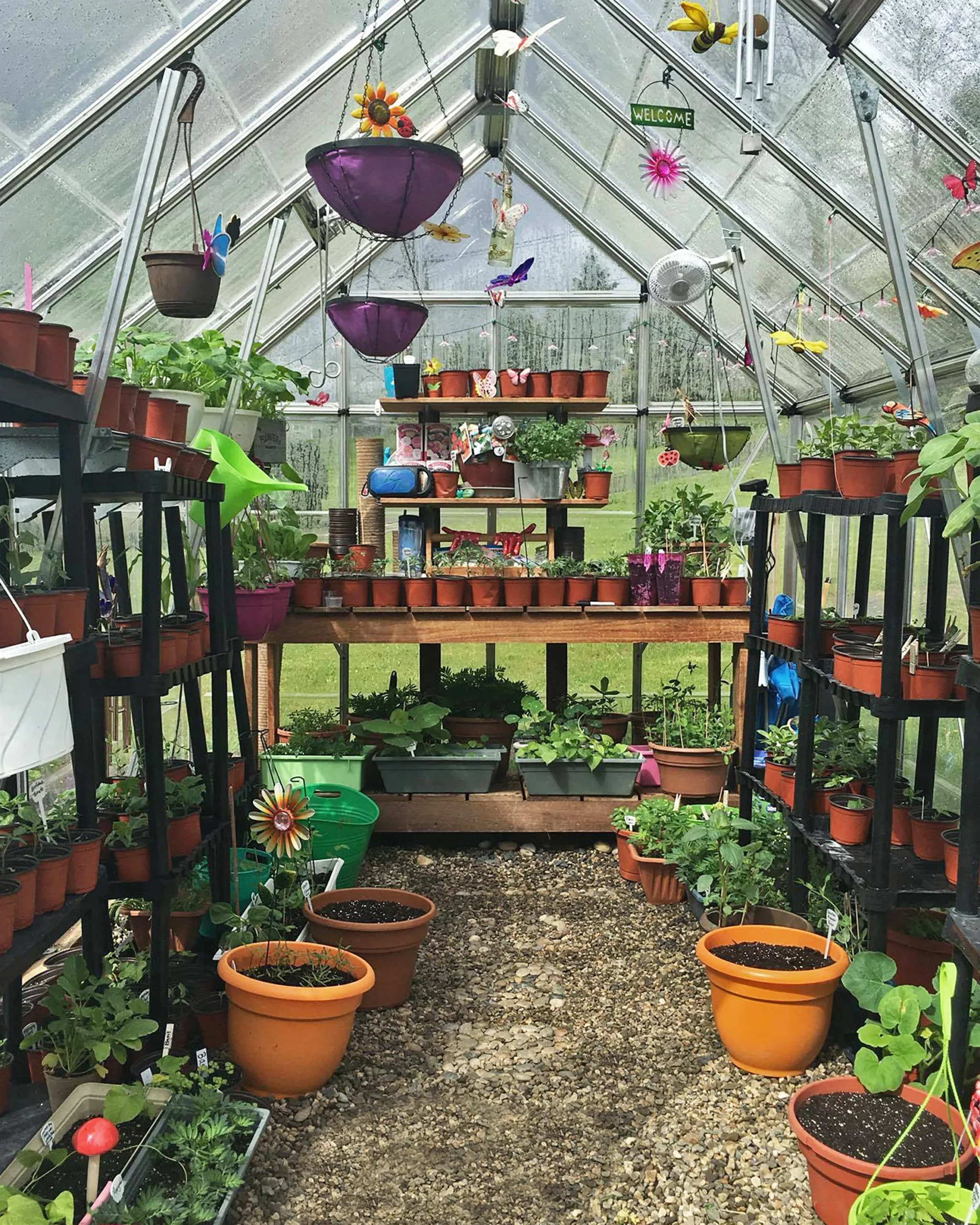 Palram - Canopia Octave Silver Greenhouse 13 Palram - Canopia Octave Silver Greenhouse - Image 13