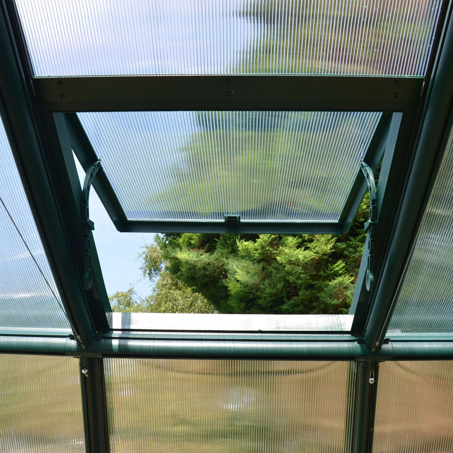 Palram - Canopia Rion Ecogrow Green 6x8 Greenhouse 4 Palram - Canopia Rion Ecogrow Green 6x8 Greenhouse - Image 4