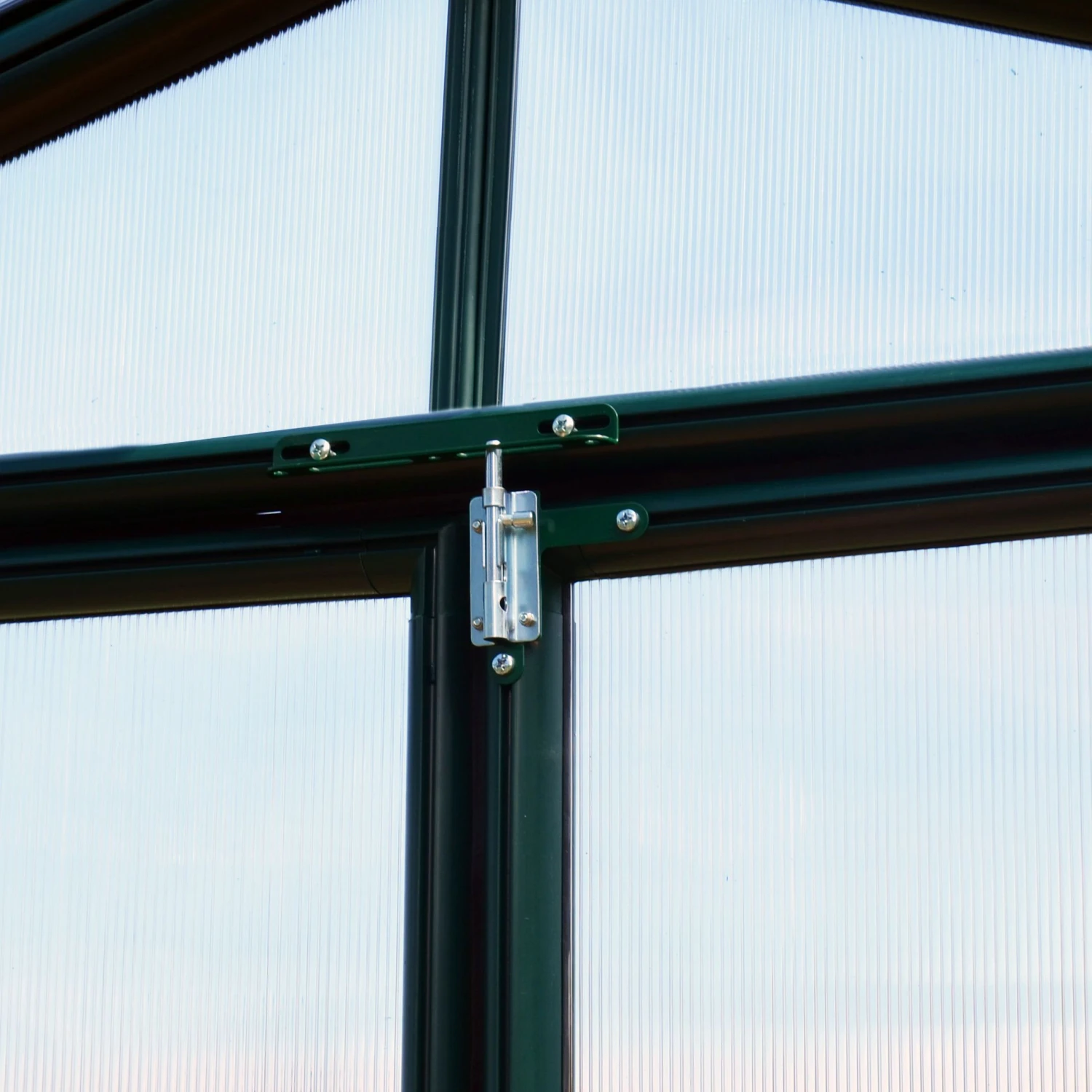 Palram - Canopia Rion Ecogrow Green 6x8 Greenhouse 5 Palram - Canopia Rion Ecogrow Green 6x8 Greenhouse - Image 5