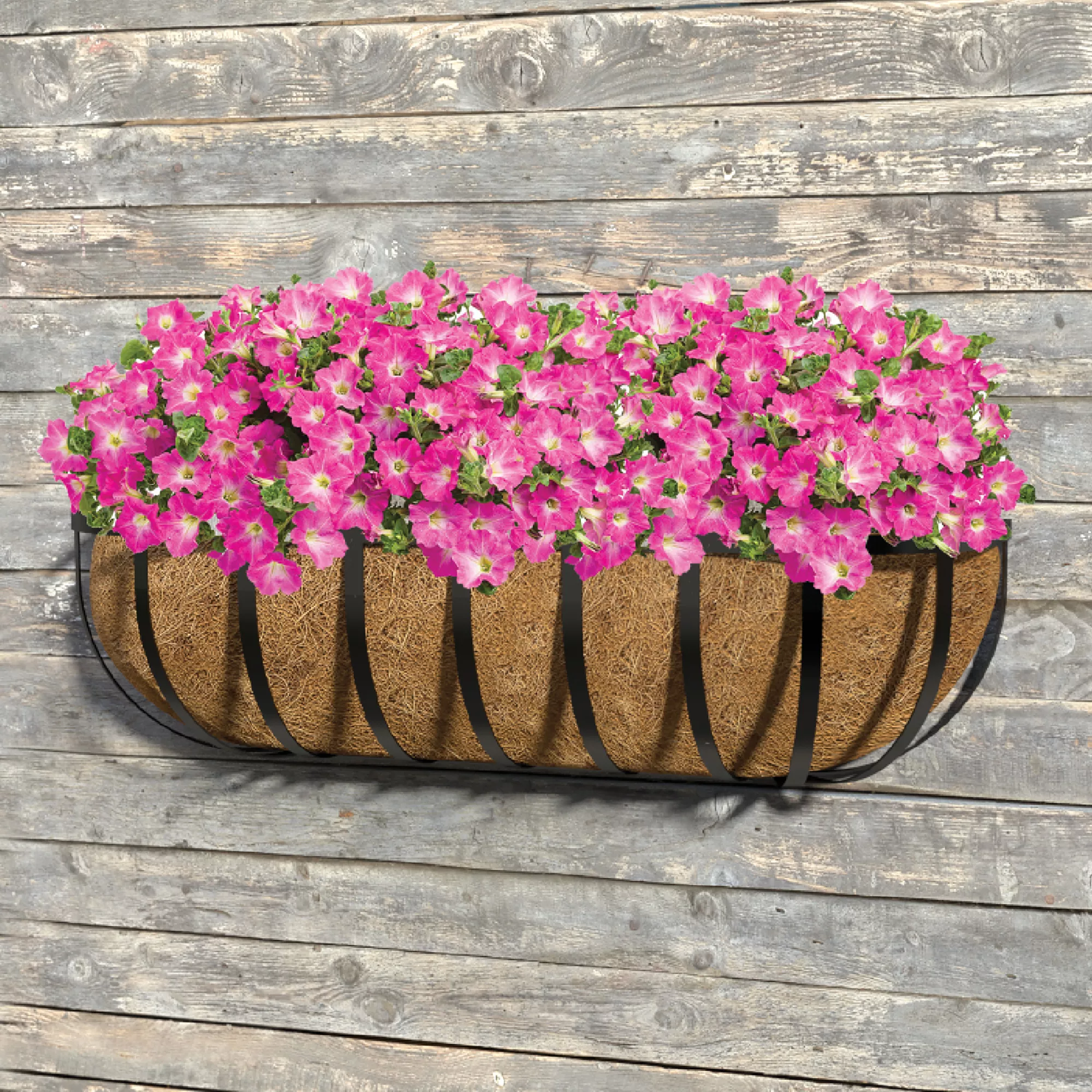 Panacea Hanging Garden Black Wall Rectangular Trough 2 Panacea Hanging Garden Black Wall Rectangular Trough - Image 2