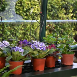 Rion Grand Gardner Green 8x12 Greenhouse -Hozelock Shop rion grand gardner green 8x12 greenhouse7290103121587 39c