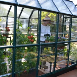 Rion Grand Gardner Green 8x16 Greenhouse -Hozelock Shop rion grand gardner green 8x16 greenhouse7290103121594 04i bq