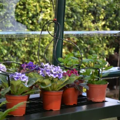 Rion Grand Gardner Green 8x16 Greenhouse -Hozelock Shop rion grand gardner green 8x16 greenhouse7290103121594 37c