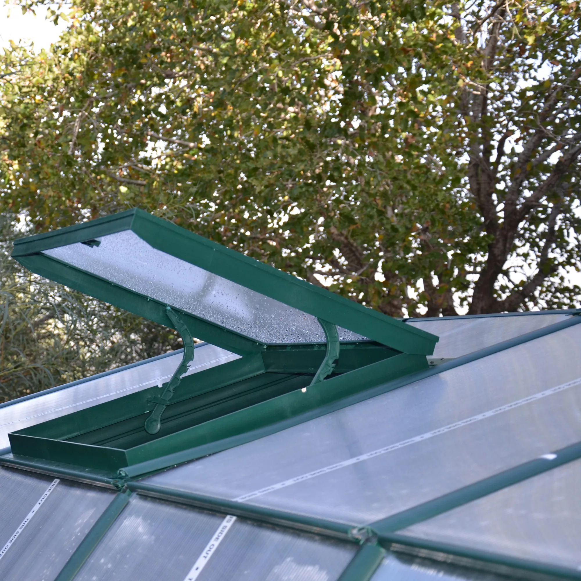 Rion Grand Gardner Green 8x20 Greenhouse 3 Rion Grand Gardner Green 8x20 Greenhouse - Image 3