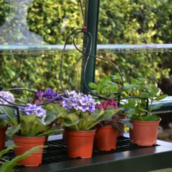 Rion Grand Gardner Green 8x8 Greenhouse -Hozelock Shop rion grand gardner green 8x8 greenhouse7290103121570 38c