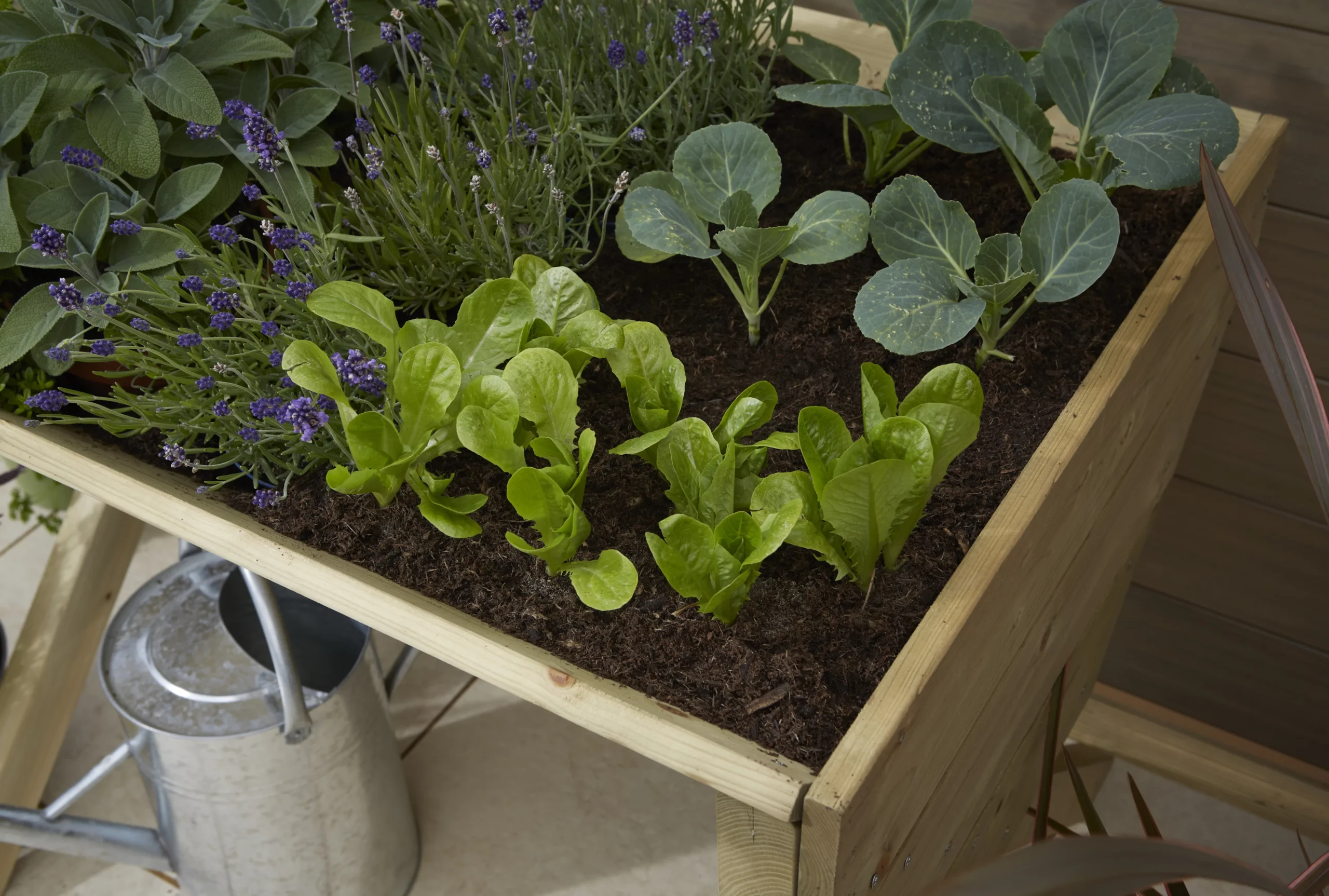 Verve 930mmx690mm Wood Rectangular Raised Bed Kit 0.64m² 3 Verve 930mmx690mm Wood Rectangular Raised Bed Kit 0.64m² - Image 3