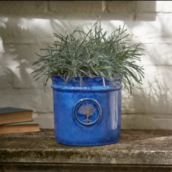 Verve Barcău Blue Ceramic Round Plant Pot (Dia)20cm 5 Verve Barcău Blue Ceramic Round Plant Pot (Dia)20cm -Hozelock Shop verve barcau blue ceramic round plant pot dia 20cm5059340327754 01i