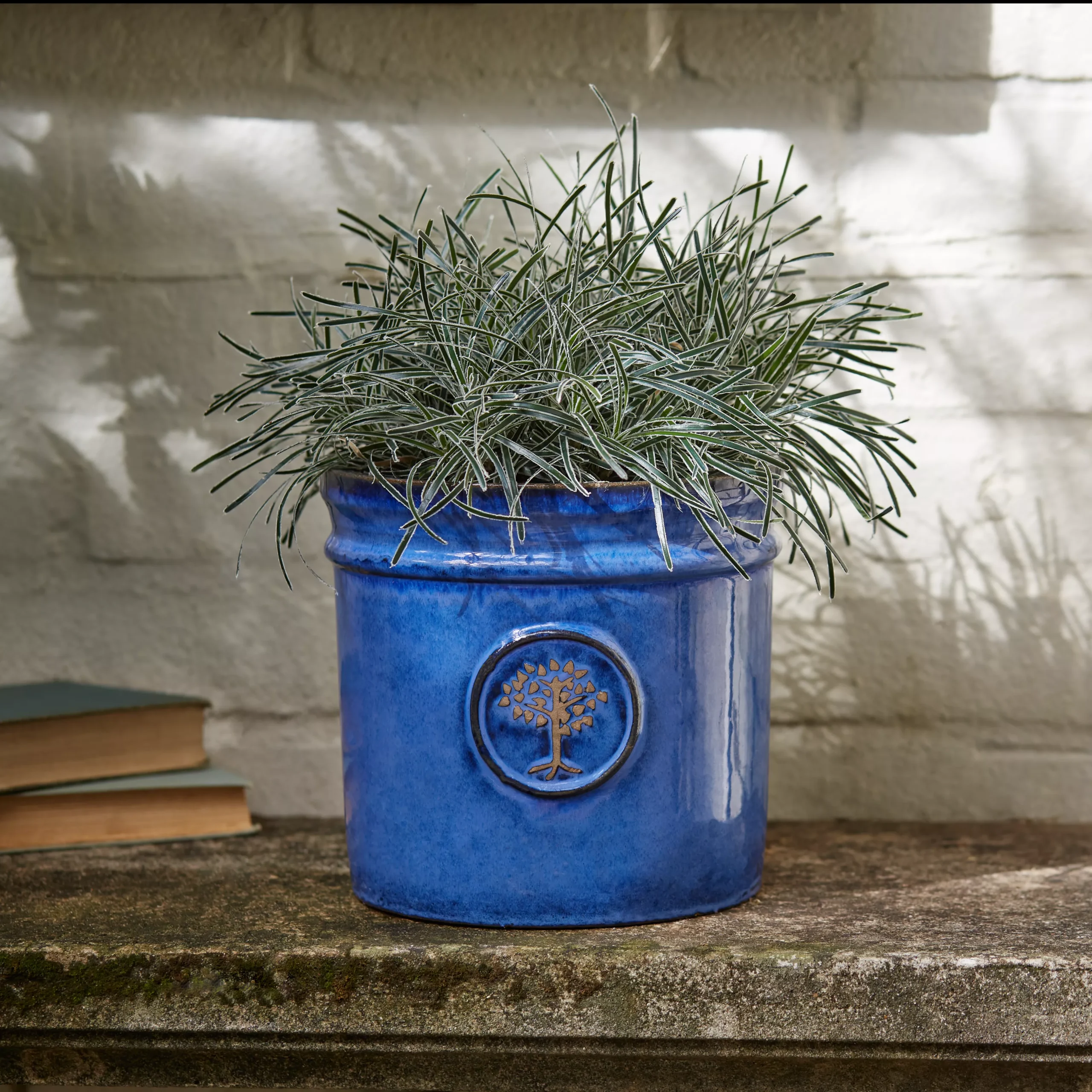 Verve Barcău Blue Ceramic Round Plant Pot (Dia)20cm 3 Verve Barcău Blue Ceramic Round Plant Pot (Dia)20cm - Image 3