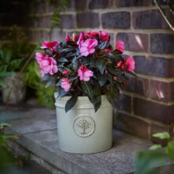 Verve Barcău Olive Ceramic Circular Plant Pot (Dia)20cm -Hozelock Shop verve barcau olive ceramic circular plant pot dia 20cm5059340327747 01i