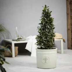 Verve Barcău Olive Ceramic Circular Plant Pot (Dia)38cm -Hozelock Shop verve barcau olive ceramic circular plant pot dia 38cm5059340327709 01i