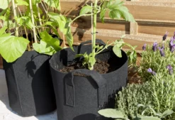 Verve Black Round Planter, Pack Of 3 -Hozelock Shop verve black round planter pack of 35059340329239 02i