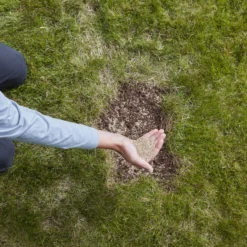 Verve Easy Start Coated Grass Seeds, 1.5kg -Hozelock Shop verve easy start coated grass seeds 1 5kg3663602947493 03i