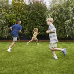 Verve Family & Sports Grass Seeds, 1.5kg -Hozelock Shop verve family sports grass seeds 1 5kg3663602947516 01i