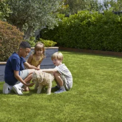 Verve Family & Sports Grass Seeds, 1.5kg -Hozelock Shop verve family sports grass seeds 1 5kg3663602947516 04i