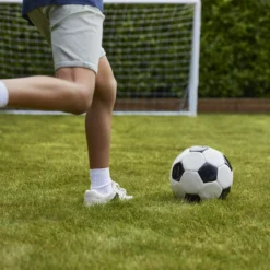 Verve Family & Sports Grass Seeds, 5kg 17 Verve Family & Sports Grass Seeds, 5kg -Hozelock Shop verve family sports grass seeds 5kg3663602947516 06i