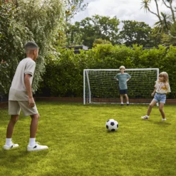 Verve Family & Sports Grass Seeds, 5kg 20 Verve Family & Sports Grass Seeds, 5kg -Hozelock Shop verve family sports grass seeds 5kg3663602947516 09i